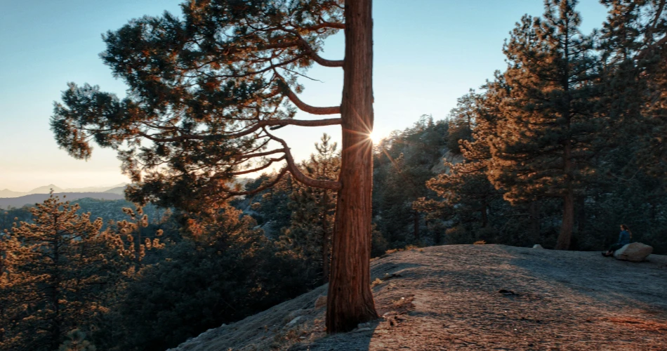 10 Best Waterfalls Hikes in and Around Orange County