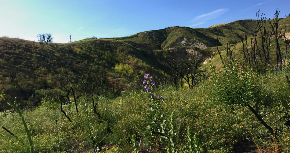 10 Best Waterfalls Hikes in and Around Orange County