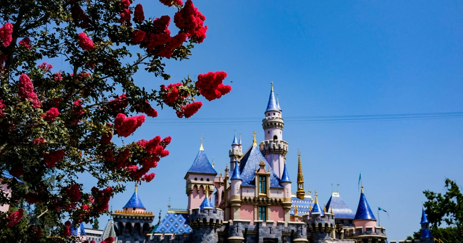 10 Best Tourist Attractions in Orange County